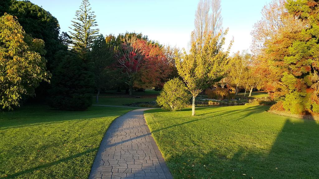 Bella Vista Gisborne Motel Екстериор снимка